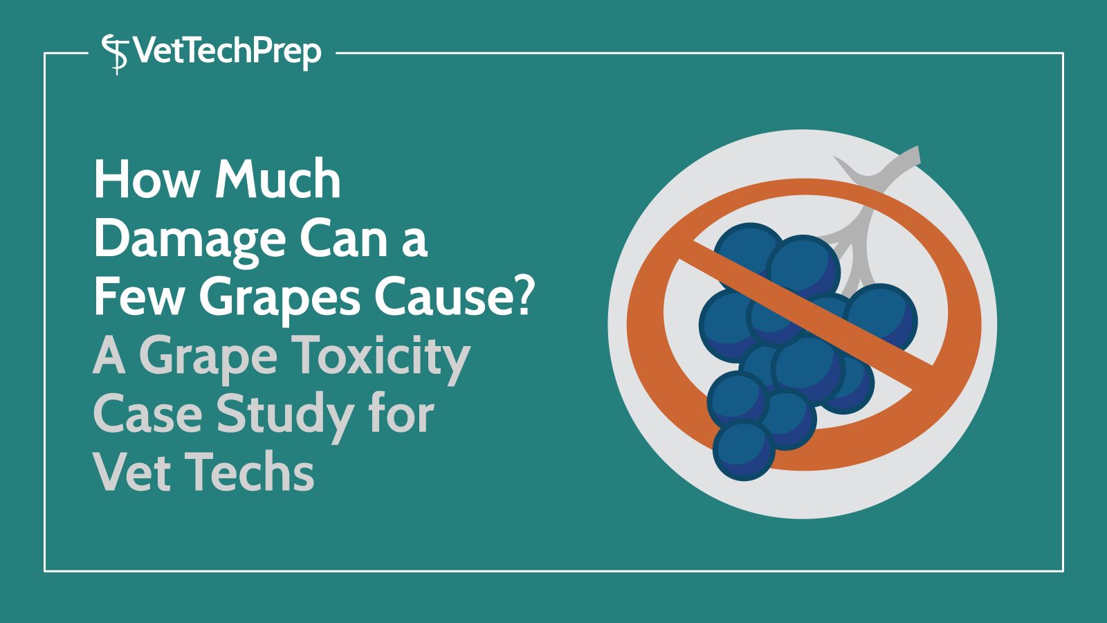How Much Damage Can a Few Grapes Cause? A Grape Toxicity Case Study for
